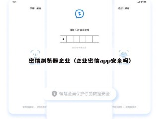 密信浏览器企业（企业密信app安全吗）
