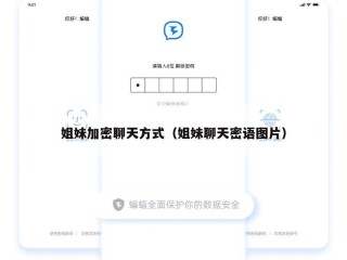 姐妹加密聊天方式（姐妹聊天密语图片）