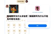 蝙蝠聊天为什么会加密（蝙蝠聊天为什么不能及时看见消息）