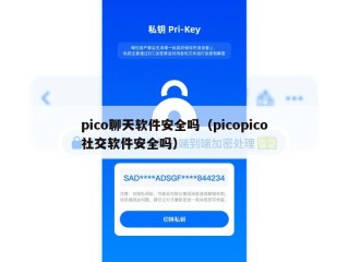 pico聊天软件安全吗（picopico社交软件安全吗）
