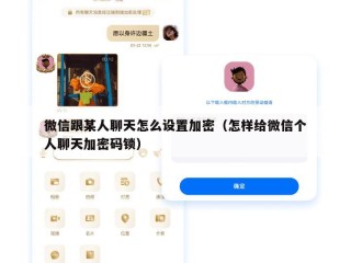 微信跟某人聊天怎么设置加密（怎样给微信个人聊天加密码锁）