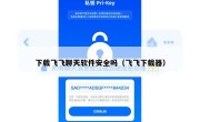 下载飞飞聊天软件安全吗（飞飞下载器）