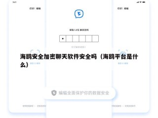 海鸥安全加密聊天软件安全吗（海鸥平台是什么）