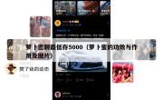 萝卜密聊最低存5000（萝卜蜜的功效与作用及图片）