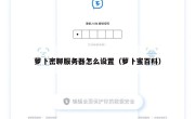 萝卜密聊服务器怎么设置（萝卜蜜百科）