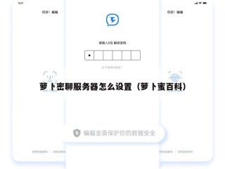 萝卜密聊服务器怎么设置（萝卜蜜百科）