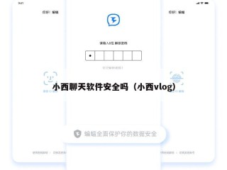 小西聊天软件安全吗（小西vlog）