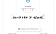 什么叫萝卜密聊（萝卜蜜怎么做）