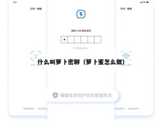 什么叫萝卜密聊（萝卜蜜怎么做）