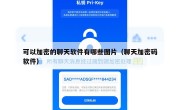 可以加密的聊天软件有哪些图片（聊天加密码软件）