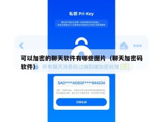 可以加密的聊天软件有哪些图片（聊天加密码软件）