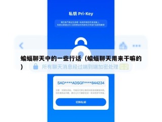 蝙蝠聊天中的一些行话（蝙蝠聊天用来干嘛的）