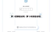 萝卜密聊验证码（萝卜科技验证码）