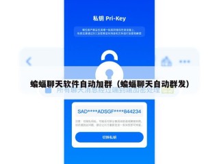 蝙蝠聊天软件自动加群（蝙蝠聊天自动群发）
