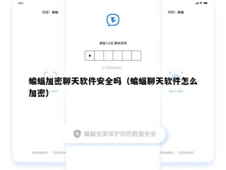 蝙蝠加密聊天软件安全吗（蝙蝠聊天软件怎么加密）