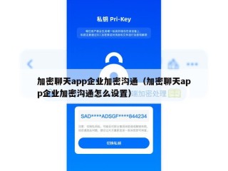 加密聊天app企业加密沟通（加密聊天app企业加密沟通怎么设置）