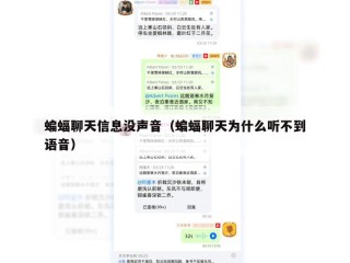 蝙蝠聊天信息没声音（蝙蝠聊天为什么听不到语音）