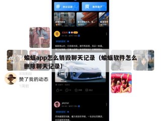 蝙蝠app怎么销毁聊天记录（蝙蝠软件怎么删除聊天记录）