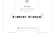 萝卜密聊下架了（萝卜密怎么吃）