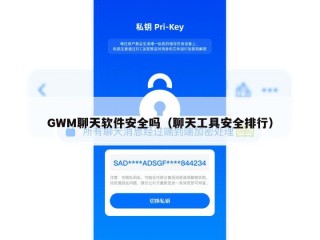 GWM聊天软件安全吗（聊天工具安全排行）