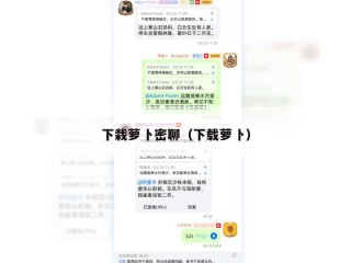 下栽萝卜密聊（下载萝卜）