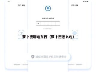 萝卜密聊啥东西（萝卜密怎么吃）