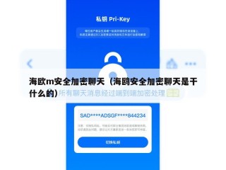 海欧m安全加密聊天（海鸥安全加密聊天是干什么的）