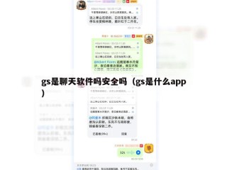gs是聊天软件吗安全吗（gs是什么app）