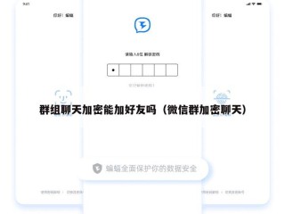 群组聊天加密能加好友吗（微信群加密聊天）