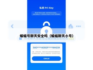 蝙蝠号聊天安全吗（蝙蝠聊天小号）