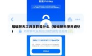 蝙蝠聊天工具属性是什么（蝙蝠聊天使用说明）