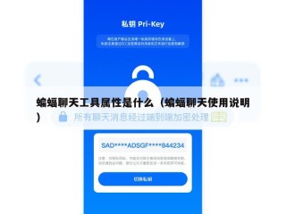 蝙蝠聊天工具属性是什么（蝙蝠聊天使用说明）