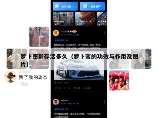 萝卜密聊存活多久（萝卜蜜的功效与作用及图片）