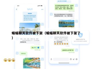 蝙蝠聊天软件被下架（蝙蝠聊天软件被下架了）