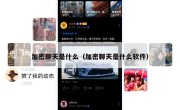 加密聊天是什么（加密聊天是什么软件）