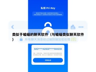类似于蝙蝠的聊天软件（与蝙蝠类似聊天软件）