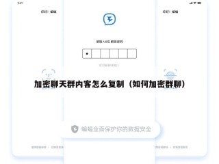 加密聊天群内客怎么复制（如何加密群聊）