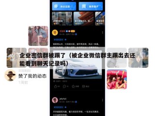 企业密信群被踢了（被企业微信群主踢出去还能看到聊天记录吗）