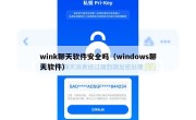 wink聊天软件安全吗（windows聊天软件）