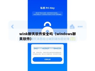 wink聊天软件安全吗（windows聊天软件）
