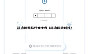 踏浪聊天软件安全吗（踏浪网络科技）