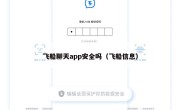飞船聊天app安全吗（飞船信息）
