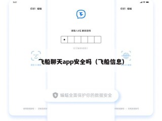 飞船聊天app安全吗（飞船信息）