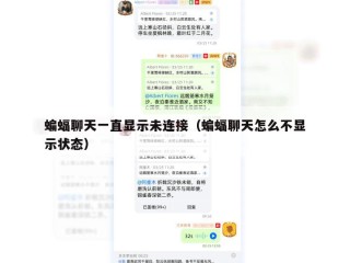蝙蝠聊天一直显示未连接（蝙蝠聊天怎么不显示状态）