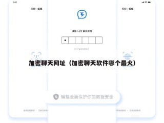 加密聊天网址（加密聊天软件哪个最火）