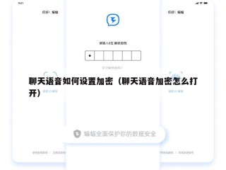 聊天语音如何设置加密（聊天语音加密怎么打开）