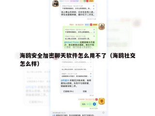 海鸥安全加密聊天软件怎么用不了（海鸥社交怎么样）