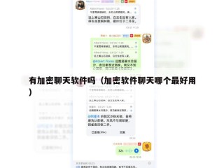 有加密聊天软件吗（加密软件聊天哪个最好用）