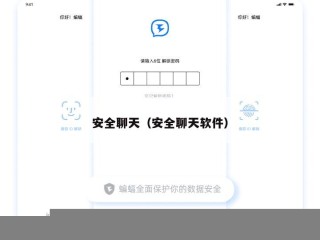 安全聊天（安全聊天软件）