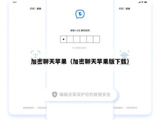 加密聊天苹果（加密聊天苹果版下载）